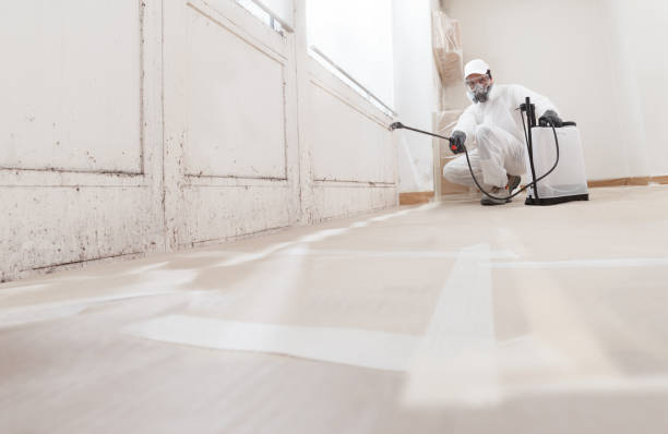 24/7 Emergency Attic Mold Removal experts in Paradise Valley, AZ